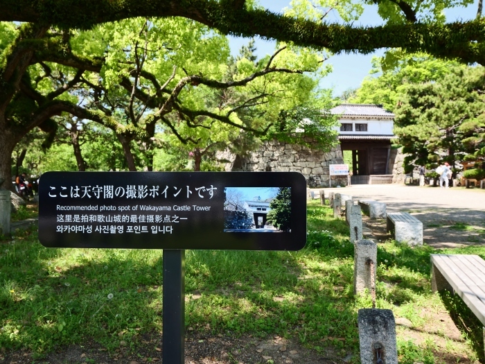 　　広角レンズをつけて和歌山城公園へ　　２０１９-０５-１０　００：００ 　　_b0093754_22015141.jpg