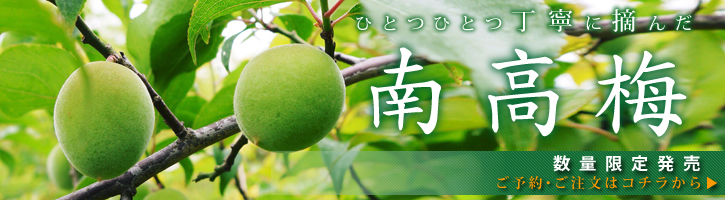 山あいの南高梅(青梅・完熟梅)令和元年の予約受付を明日(5/17)スタート!数量限定!早い者勝ちです!_a0254656_17160031.jpg