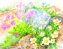 c0119160_06591080.png