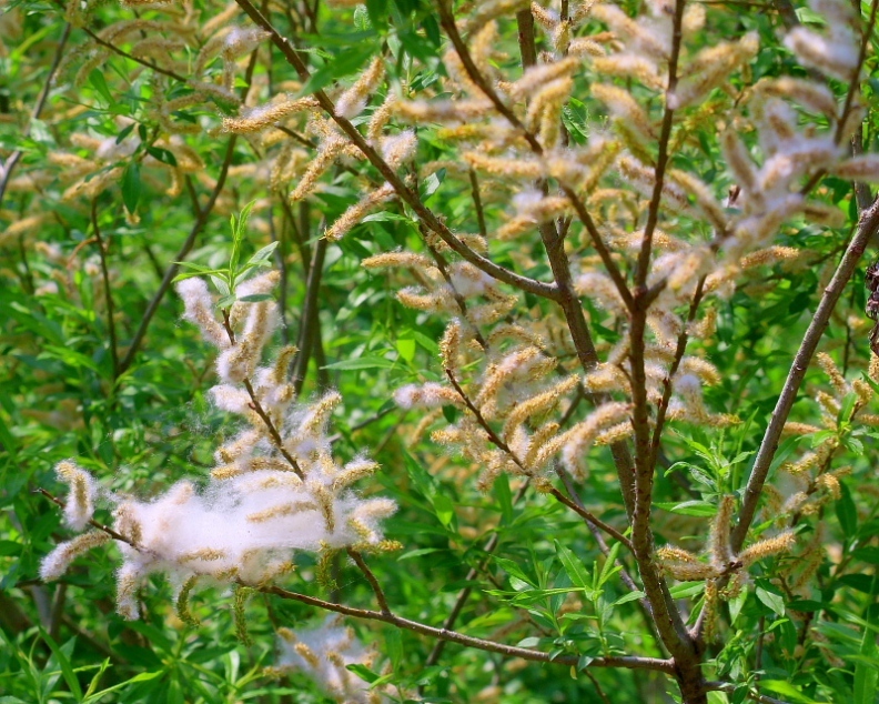 c0305565_21073114.jpg