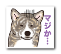 b0057675_23113893.png