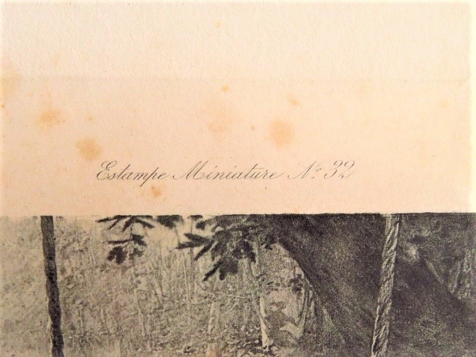 e0074478_10320255.jpg