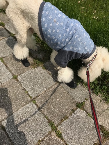 a0216583_23113356.jpeg