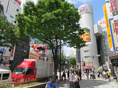 b0056983_16382874.jpg