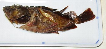 f0003283_07363062.jpg