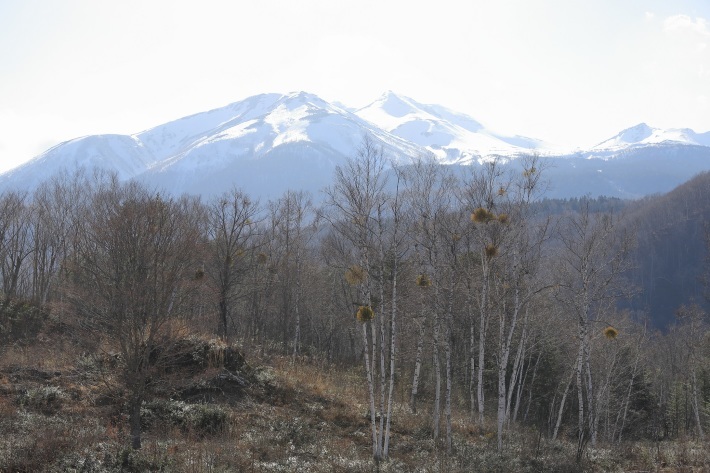 f0350585_22083742.jpg