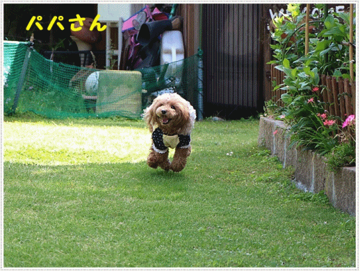 b0175688_20051397.gif