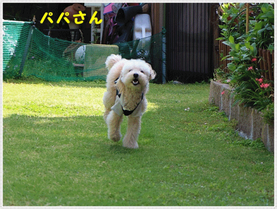 b0175688_20051799.gif