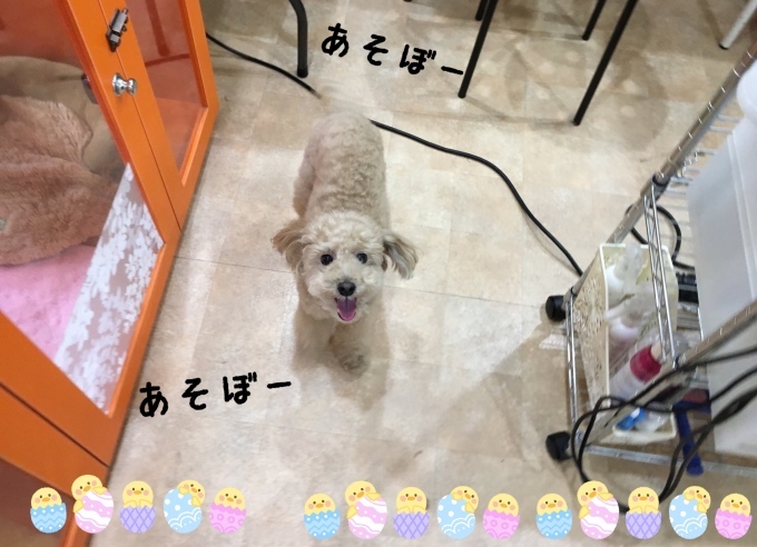 d0269898_10520572.jpeg