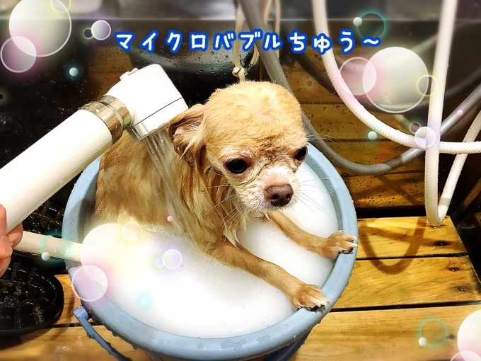 d0269898_10523349.jpeg