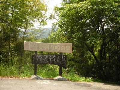 笹ヶ峰(土佐町) ～ キレンゲツツジ / 2008年5月 ～_f0308898_22061375.jpg