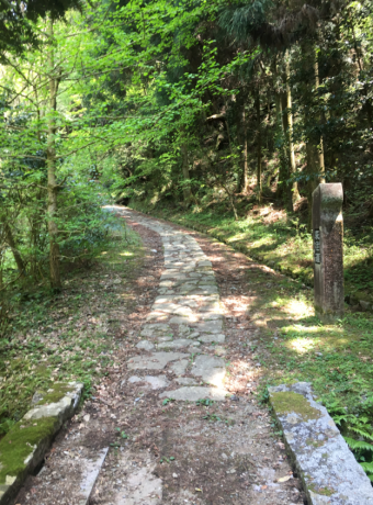 b0362900_21483235.png