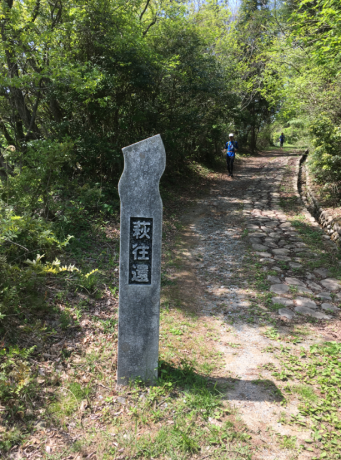 b0362900_22031662.png