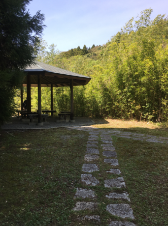 b0362900_22031757.png