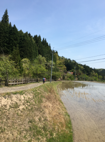 b0362900_22031882.png