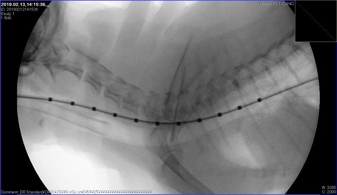 f0202601_14453908.png