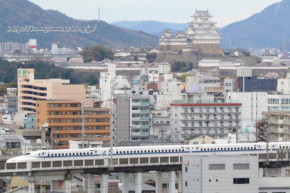 04/11・12 桜色を探して2019 ～その5～_f0237201_21562569.jpg