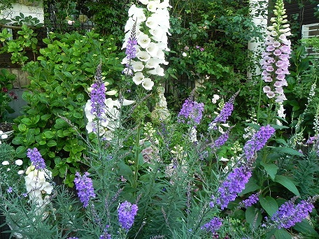 c0152002_20042420.jpg