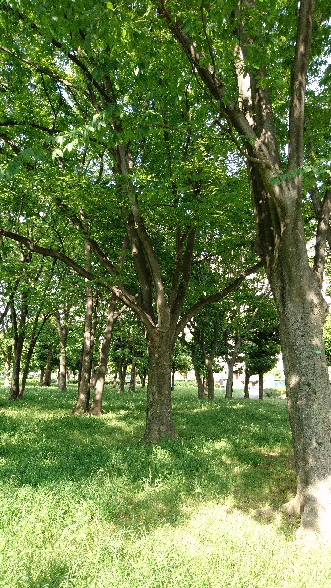 a0228408_07194002.jpg