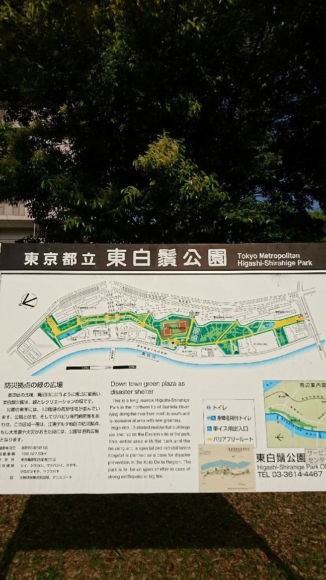 a0228408_07270563.jpg