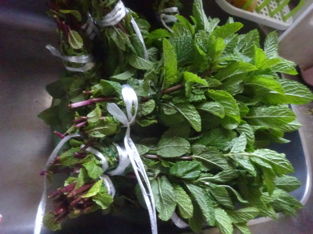 f0231709_13500512.jpg