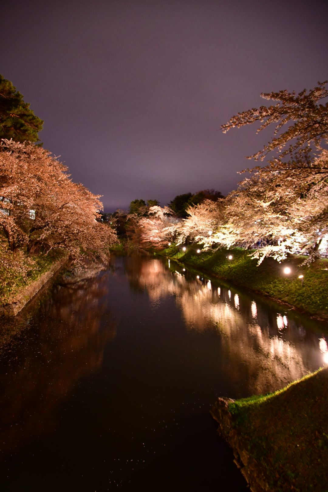 圧倒的桜！GW旅 2019 その8 _b0223512_23525543.jpeg