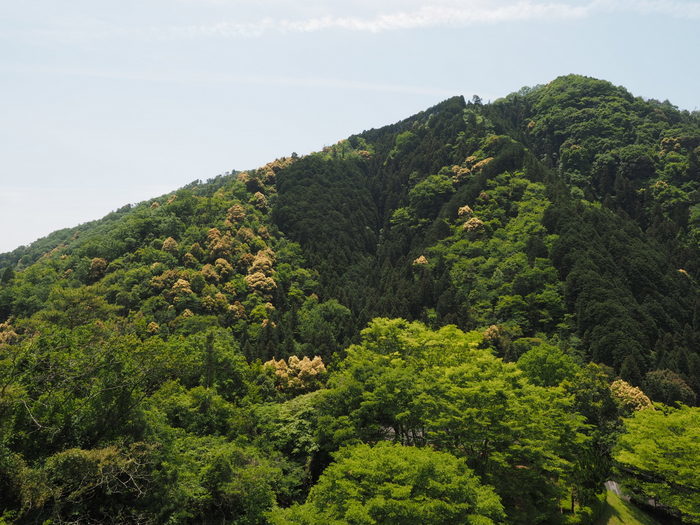 c0116915_00014033.jpg
