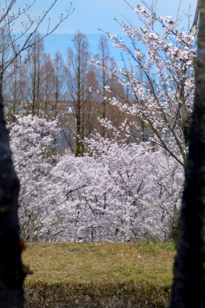 c0163618_17425136.jpg