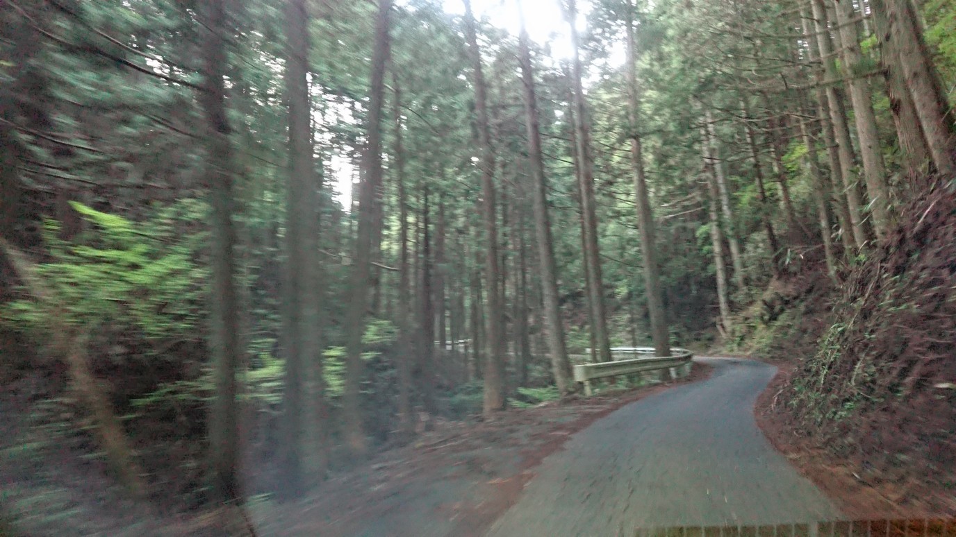 c0221718_15274653.jpg