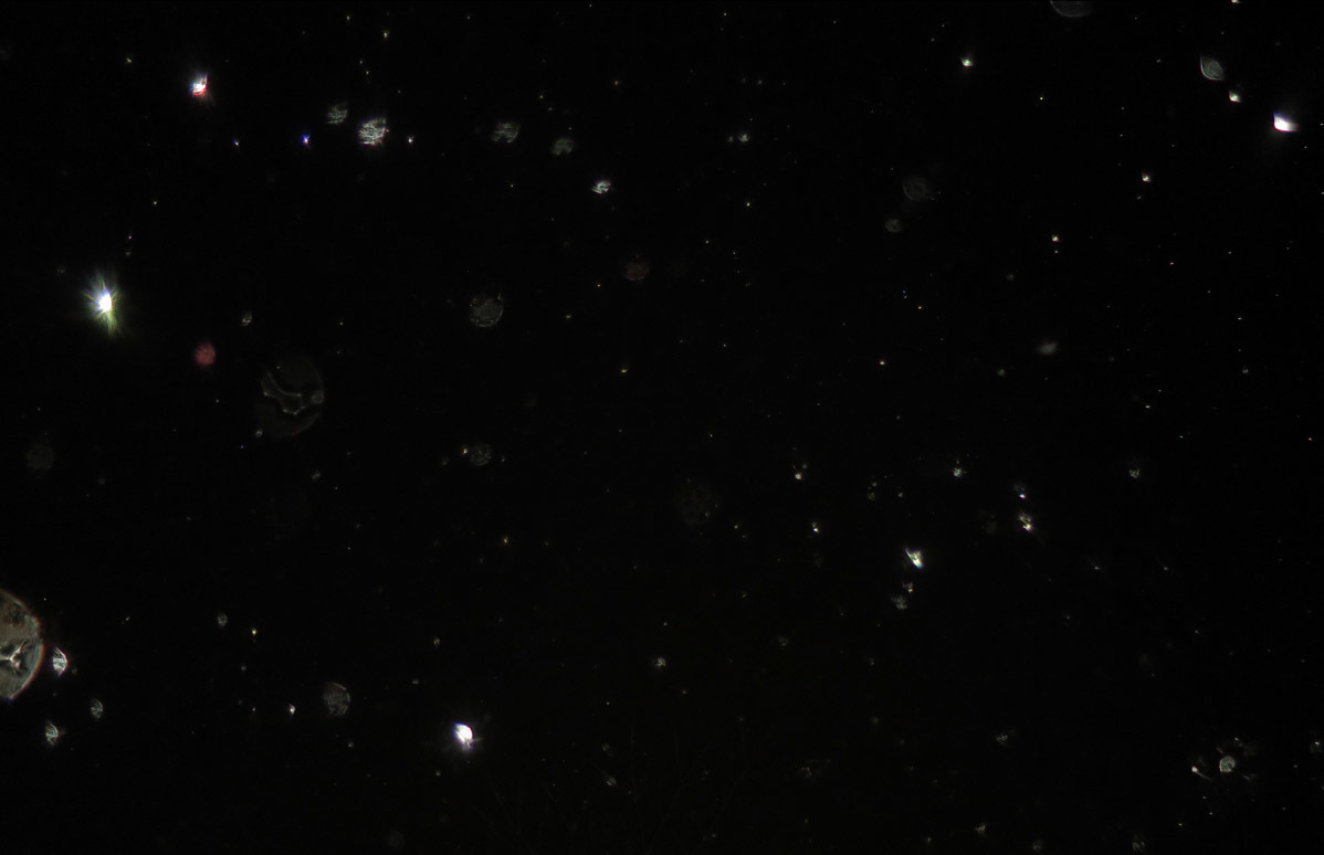 c0331825_17435157.jpg