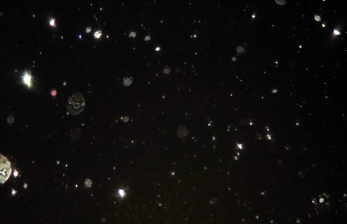 c0331825_17451431.jpg
