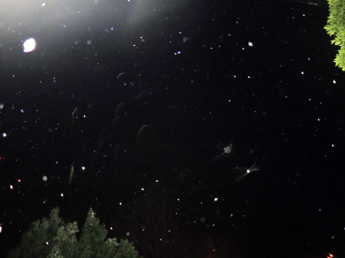 c0331825_17545725.jpg