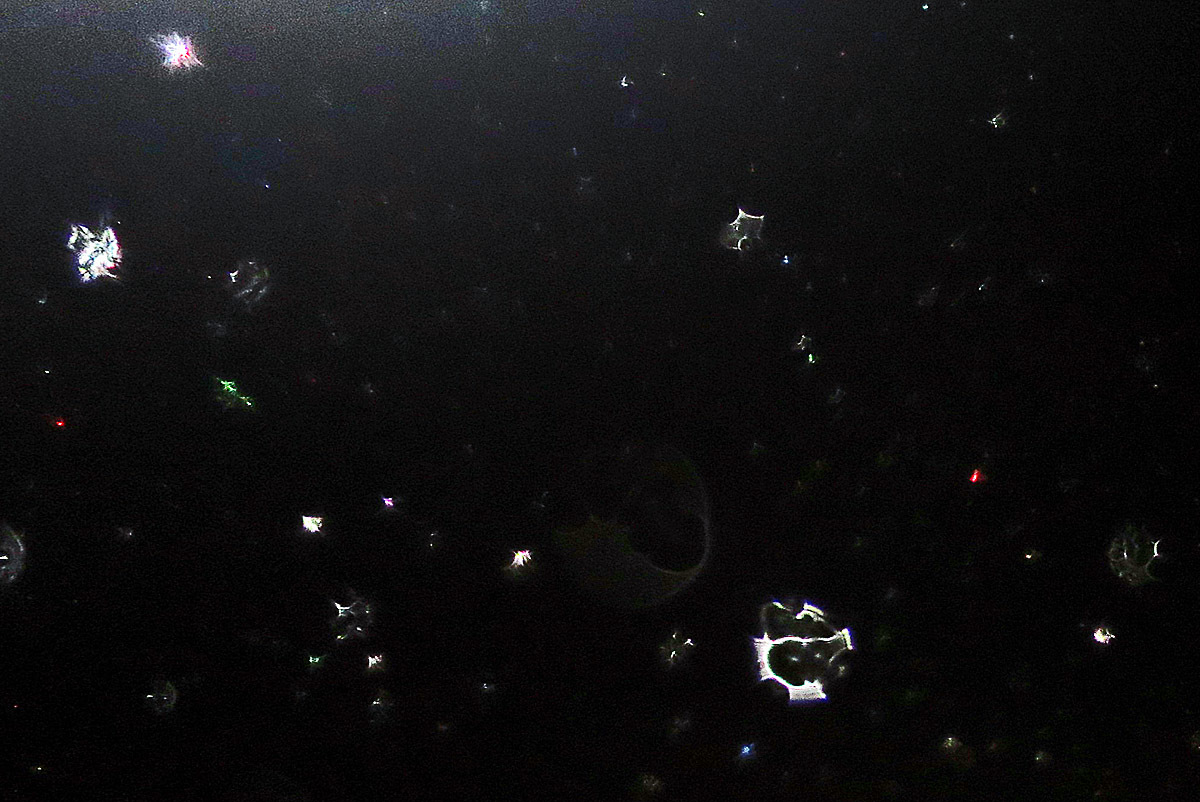 c0331825_18034868.jpg
