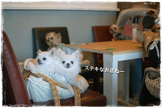 d0179828_07394349.png