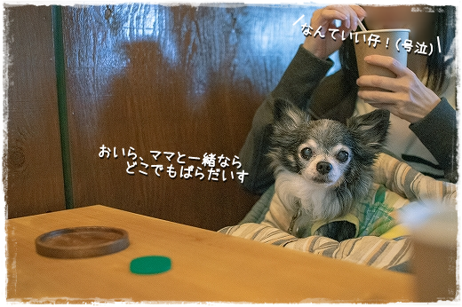 d0179828_07520877.png