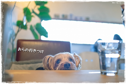 d0179828_07571940.png