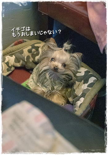 d0179828_08004566.png
