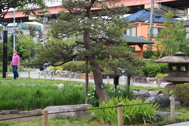 a0214329_11403470.jpg
