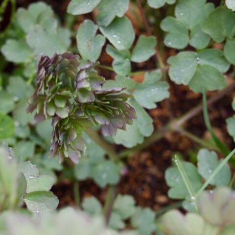 a0329935_12330823.jpeg
