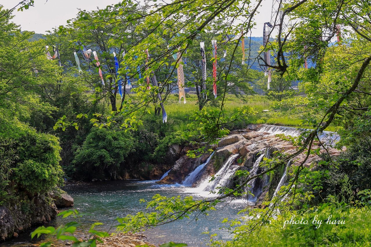 f0297537_22542750.jpg