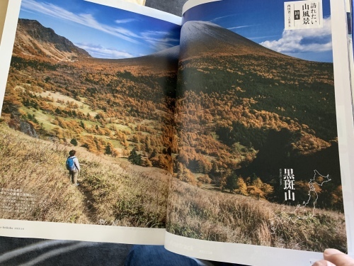 b0330040_17430301.jpeg