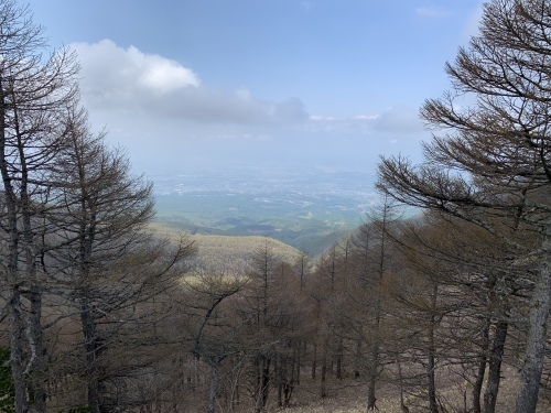 b0330040_17511967.jpeg