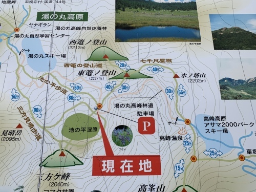 b0330040_18014608.jpeg