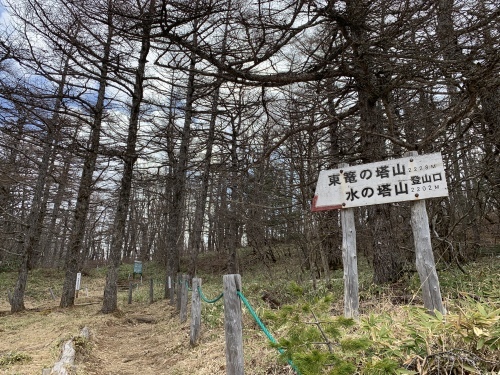 b0330040_18074858.jpeg