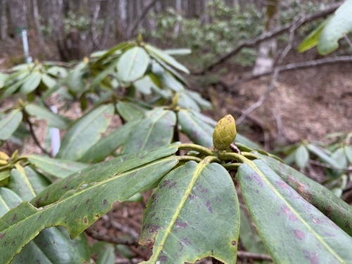 b0330040_18174554.jpeg