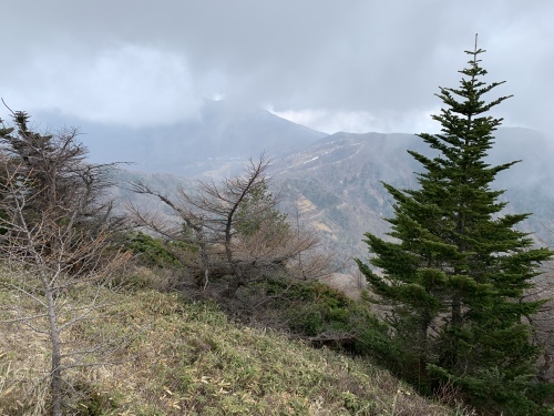 b0330040_18464315.jpeg