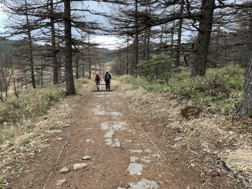 b0330040_19091268.jpeg