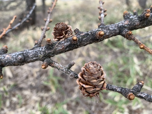 b0330040_19133391.jpeg