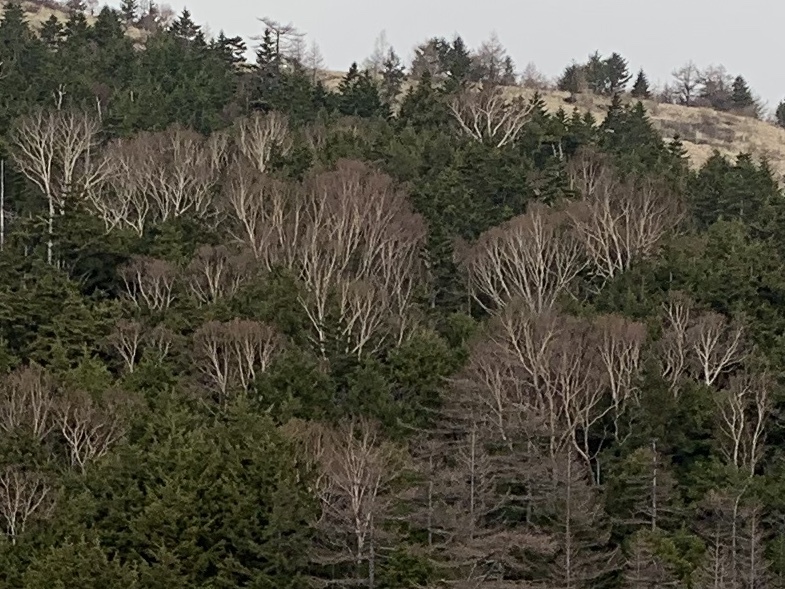b0330040_19163948.jpeg