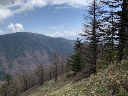 b0330040_19450286.jpeg